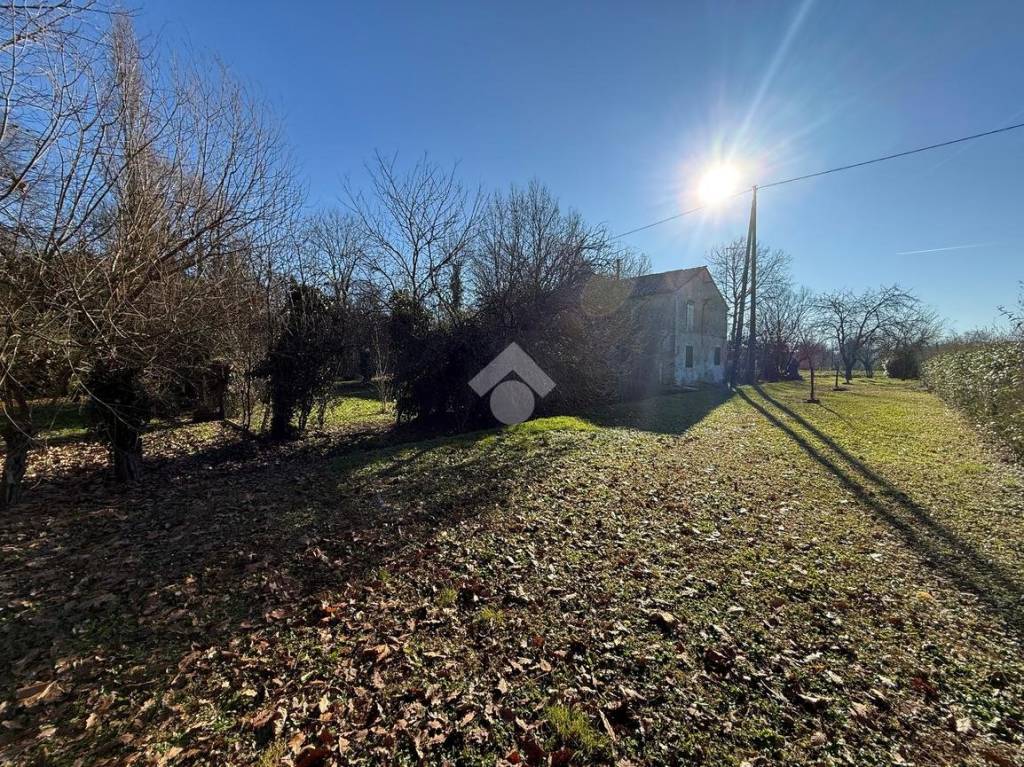 immagine annuncio 10 di 12