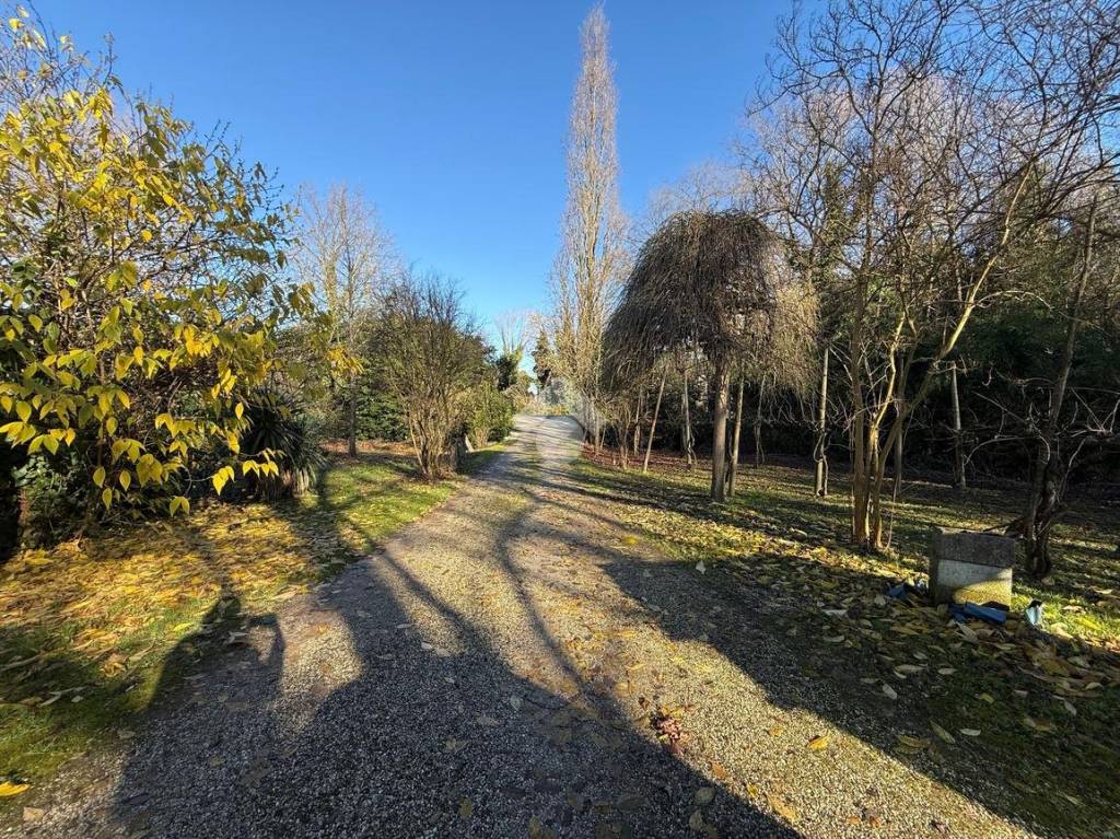 immagine annuncio 11 di 12