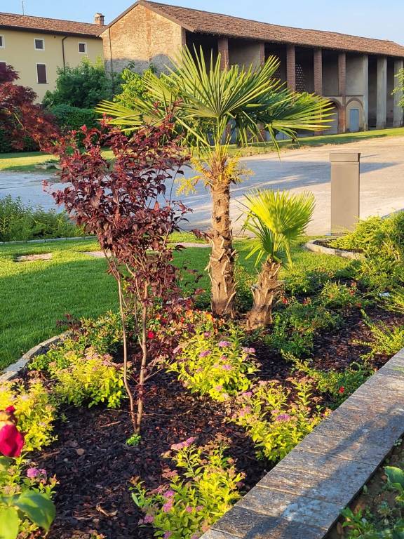 immagine annuncio 5 di 15