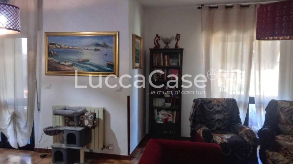 immagine annuncio 7 di 13