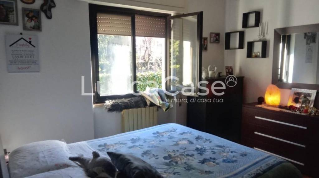 immagine annuncio 11 di 13