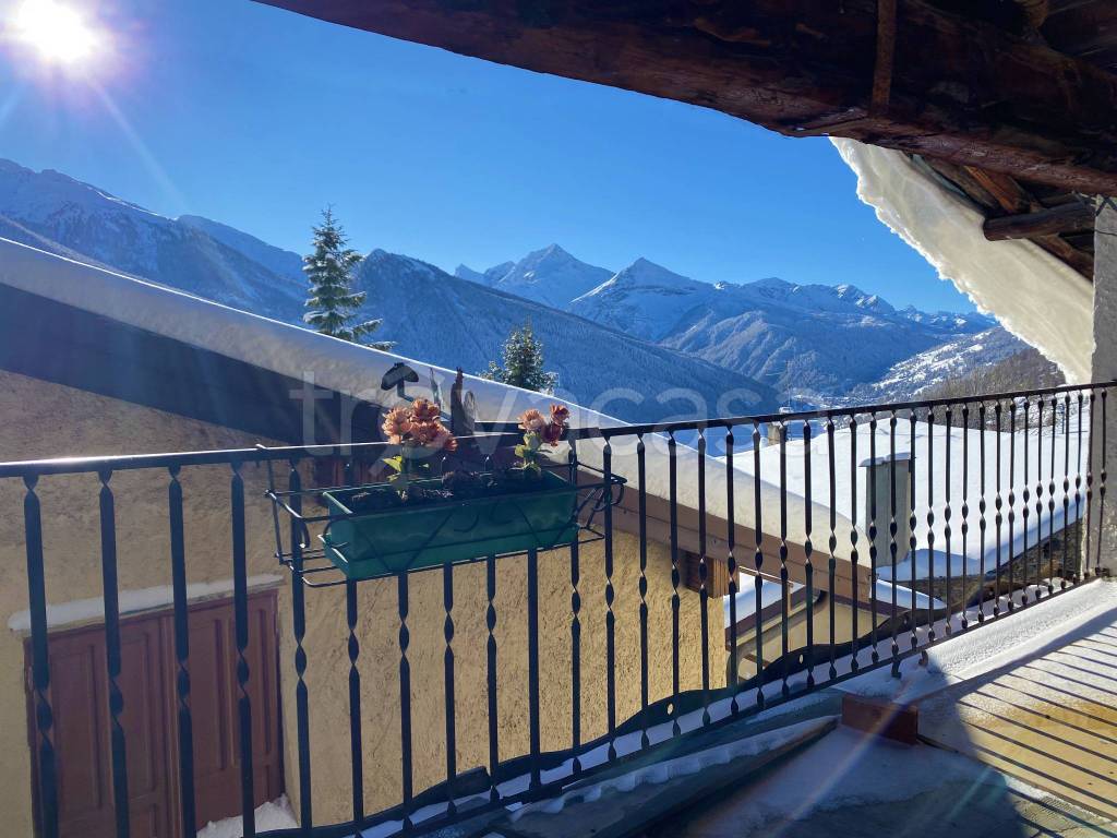 immagine annuncio 11 di 14