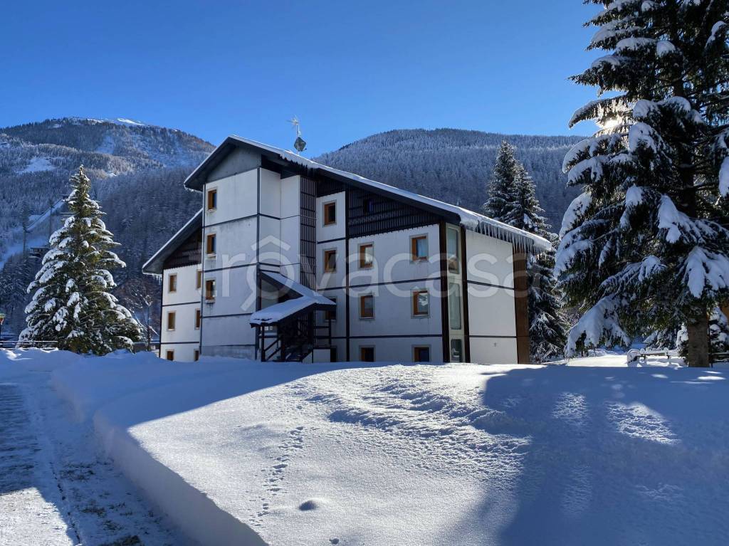 immagine annuncio 9 di 13