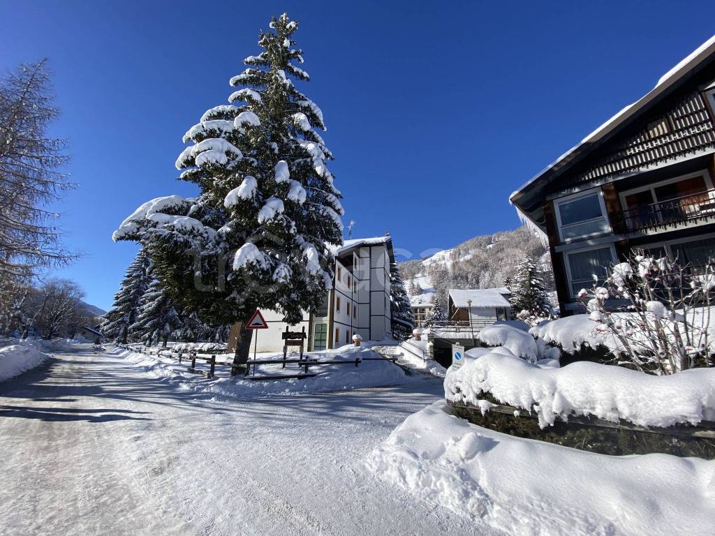 immagine annuncio 11 di 13