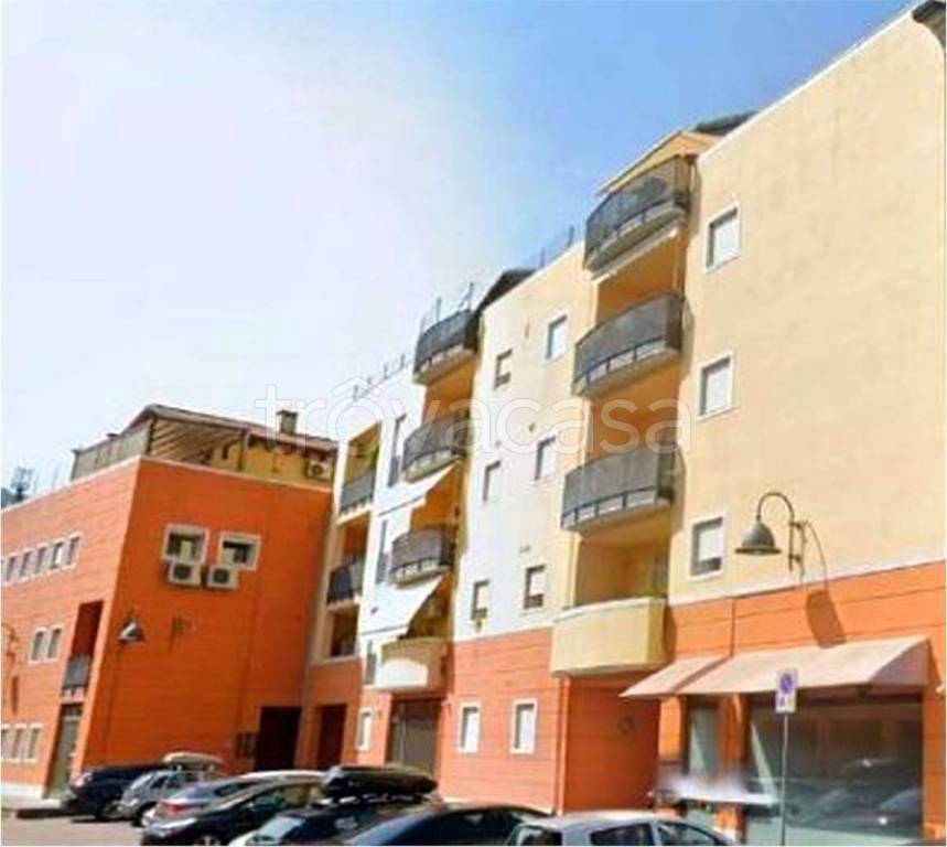 immagine annuncio 3 di 12