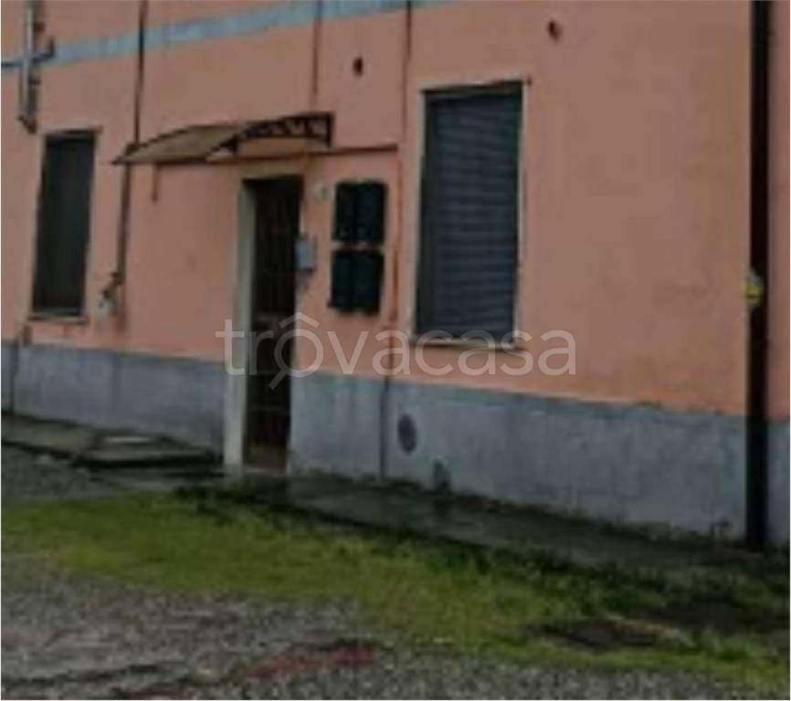 immagine annuncio 12 di 14