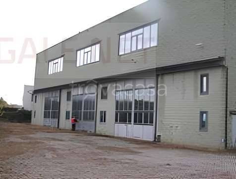 immagine annuncio 1 di 12