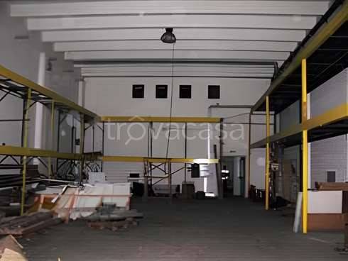 immagine annuncio 3 di 12