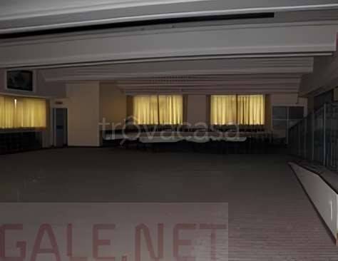 immagine annuncio 6 di 12