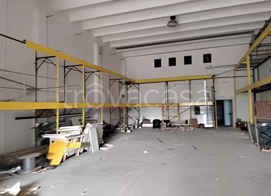 immagine annuncio 9 di 12