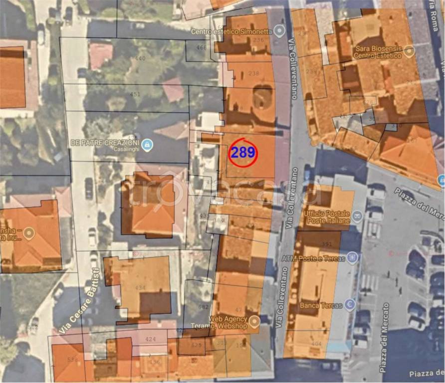 immagine annuncio 1 di 14