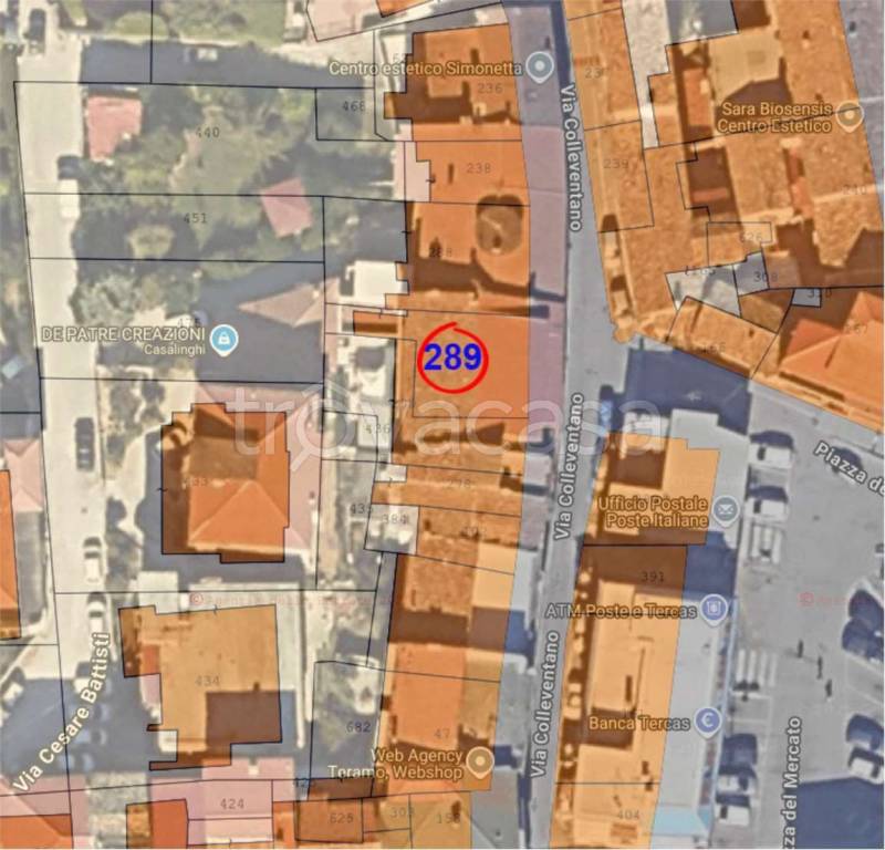 immagine annuncio 2 di 14