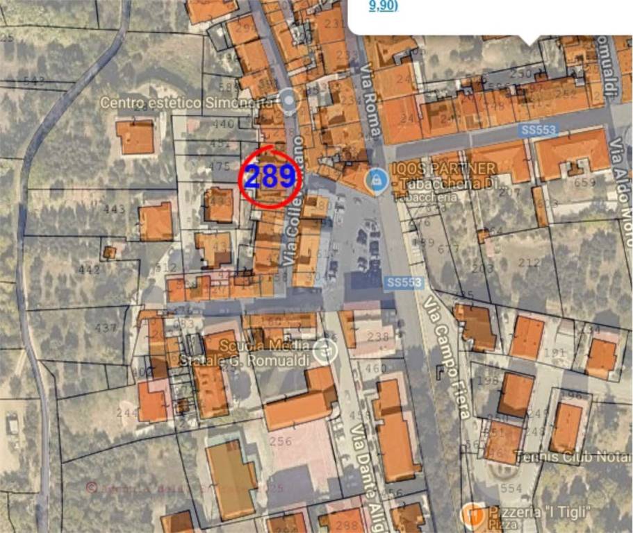 immagine annuncio 3 di 14