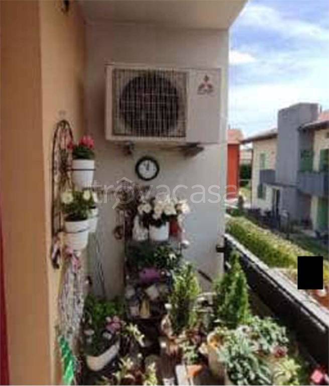 immagine annuncio 6 di 15