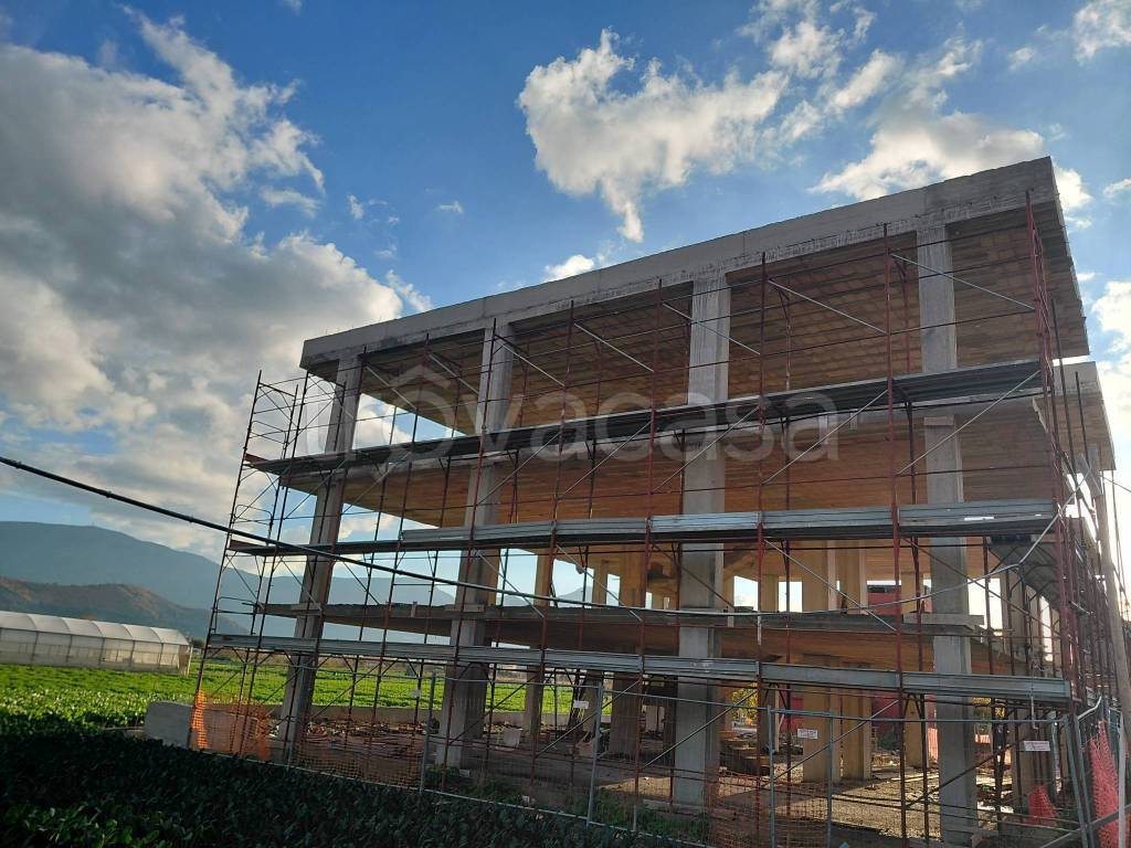 immagine annuncio 11 di 12