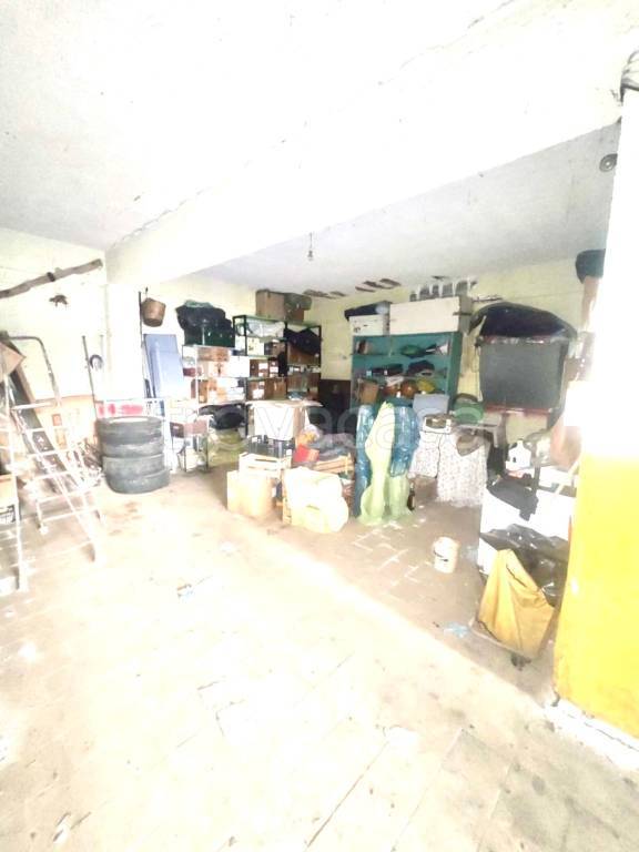 immagine annuncio 12 di 14