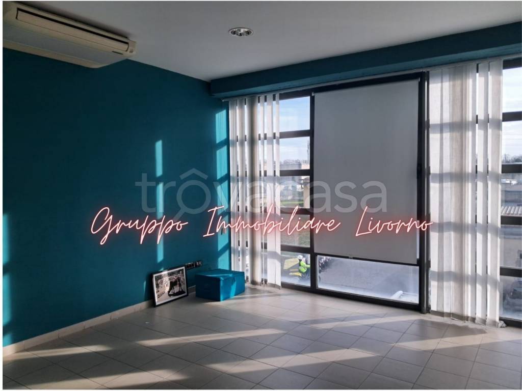 immagine annuncio 6 di 14