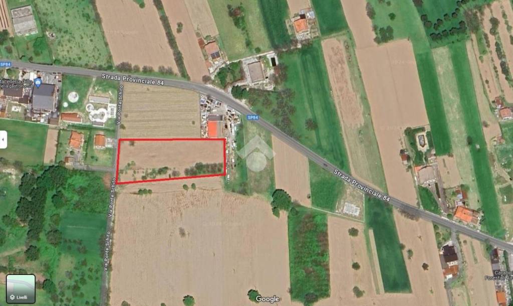 immagine annuncio 2 di 7