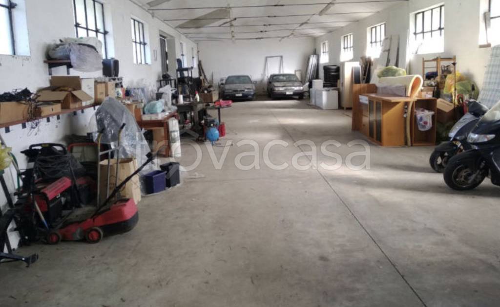 immagine annuncio 5 di 11