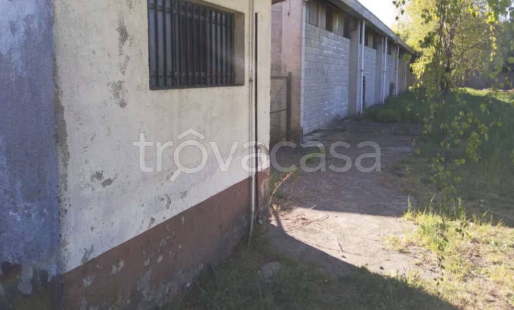 immagine annuncio 7 di 11