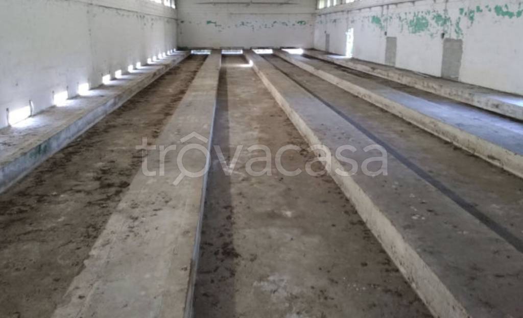 immagine annuncio 9 di 11