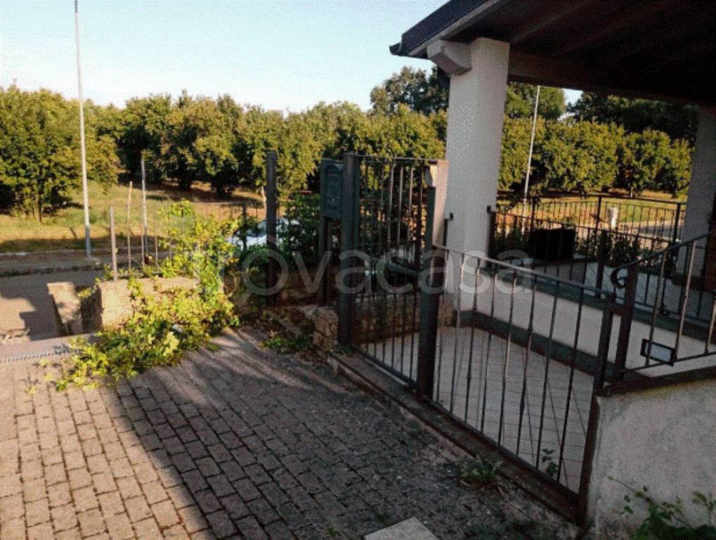 immagine annuncio 10 di 13