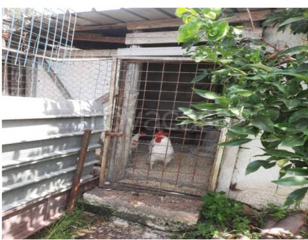 immagine annuncio 11 di 14