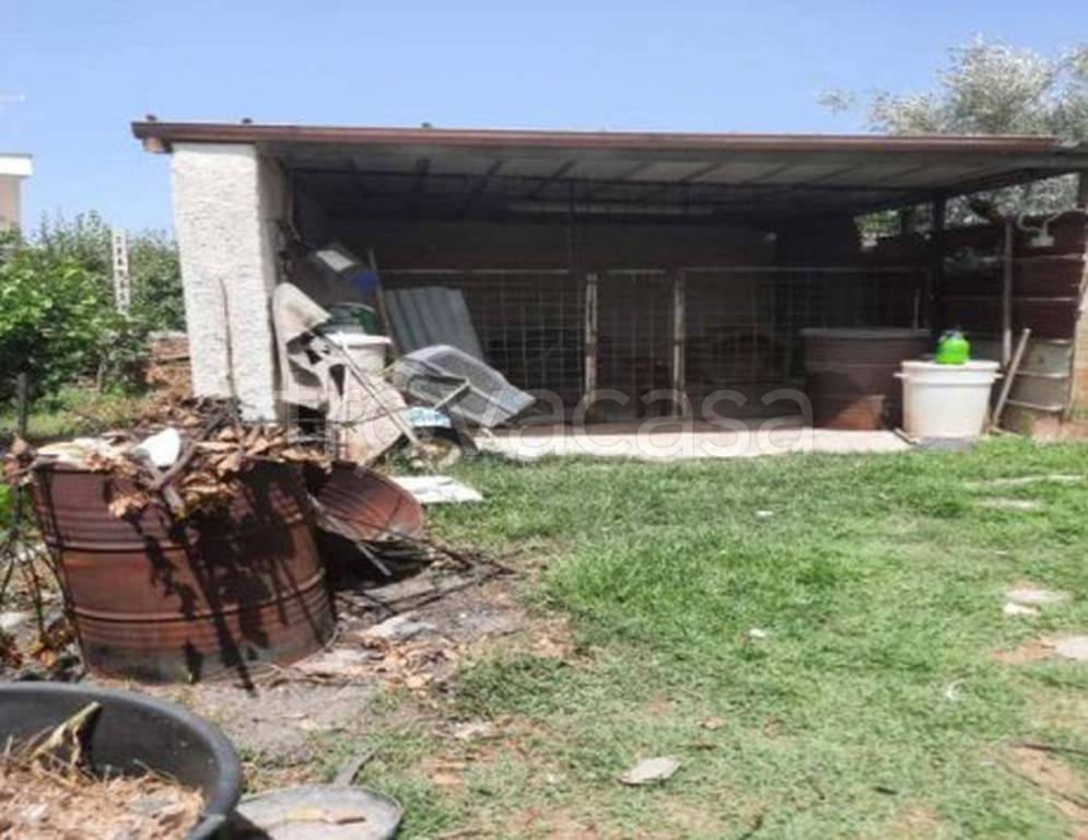 immagine annuncio 12 di 14