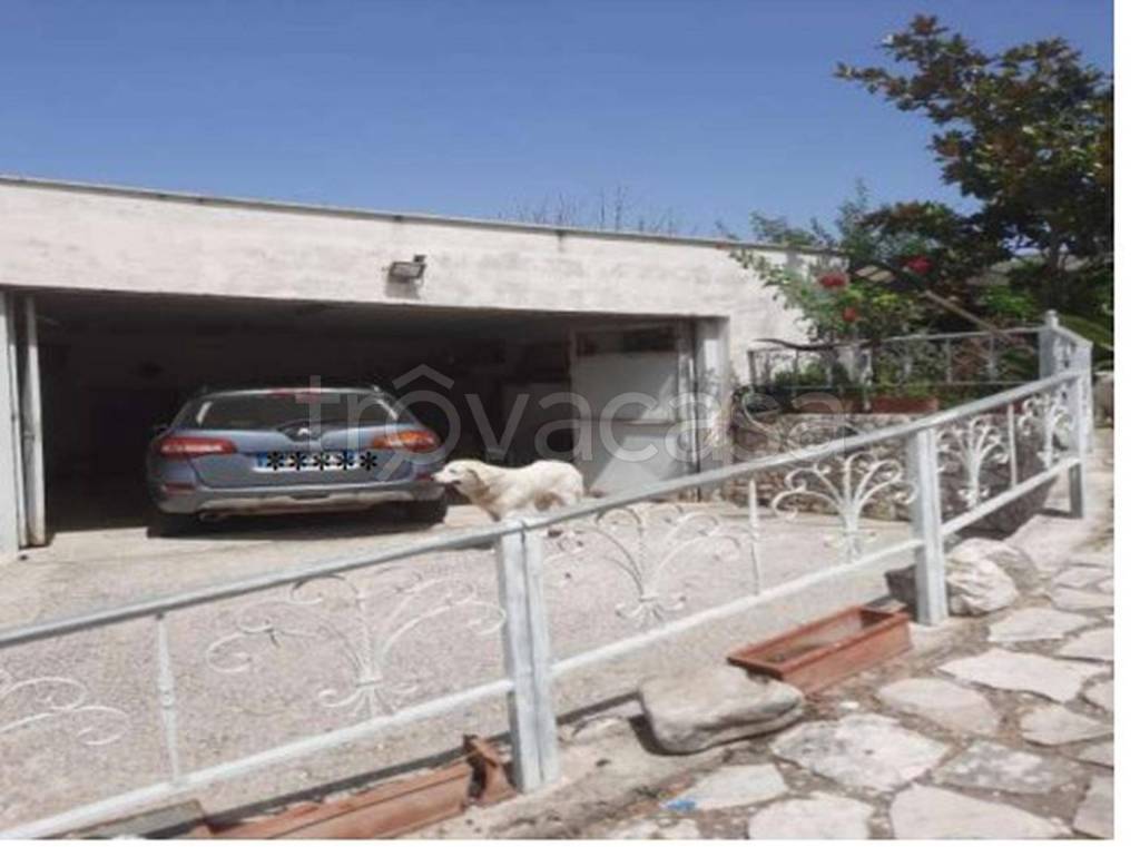 immagine annuncio 13 di 14