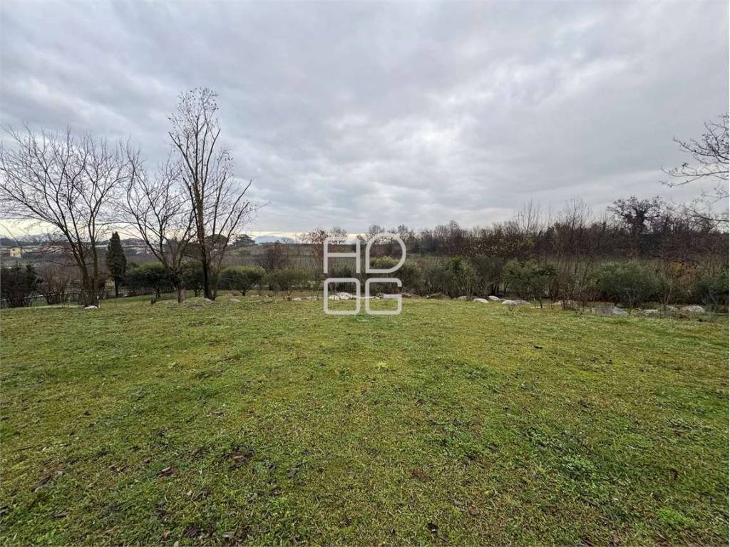 immagine annuncio 5 di 8