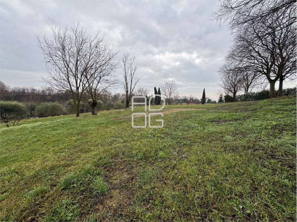 immagine annuncio 7 di 8