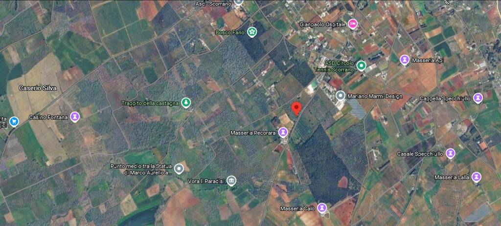 immagine annuncio 9 di 12