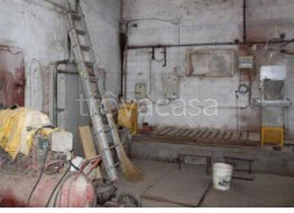 immagine annuncio 7 di 13