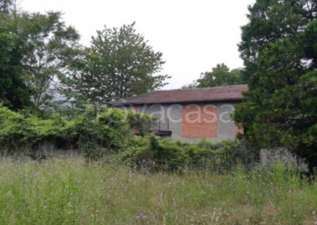 immagine annuncio 5 di 12