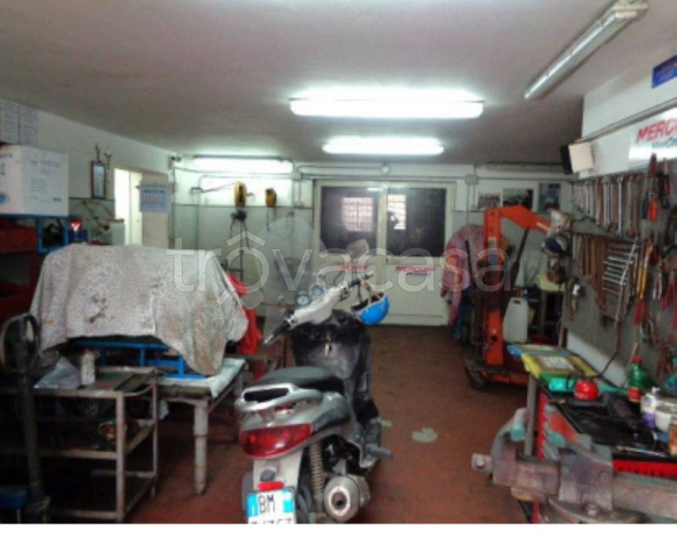 immagine annuncio 1 di 11