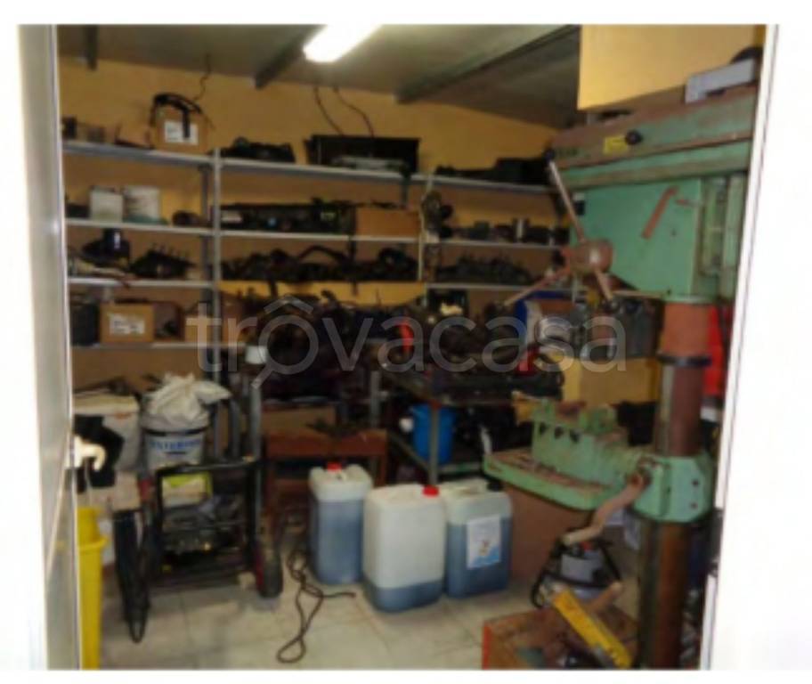 immagine annuncio 9 di 11