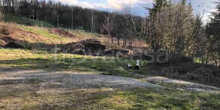 immagine annuncio 4 di 9