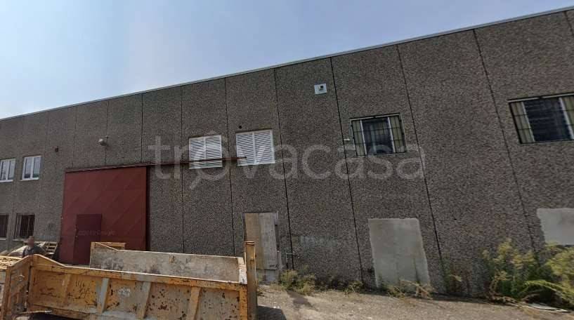 immagine annuncio 1 di 14