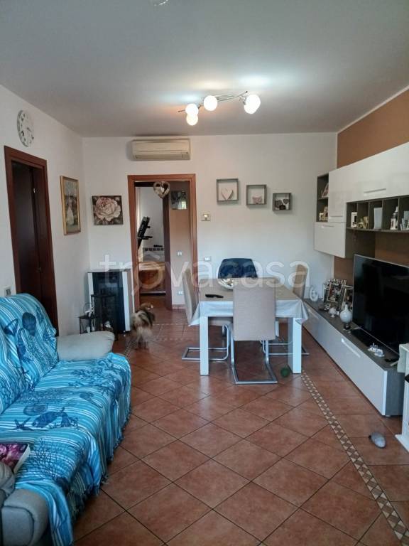 immagine annuncio 1 di 9