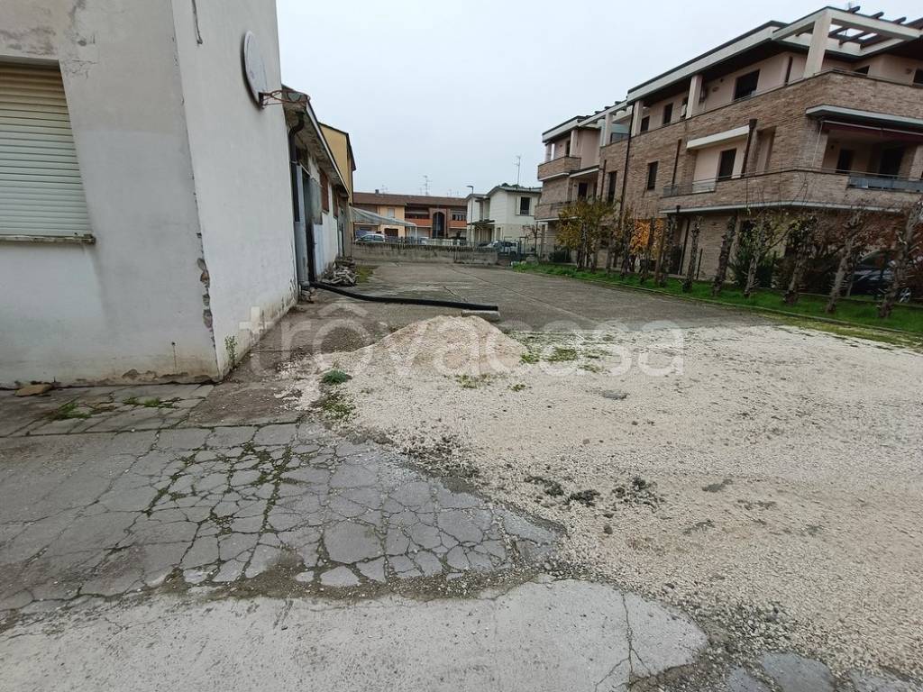 immagine annuncio 5 di 12