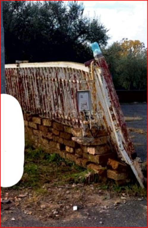 immagine annuncio 11 di 13