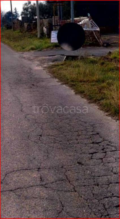 immagine annuncio 12 di 13