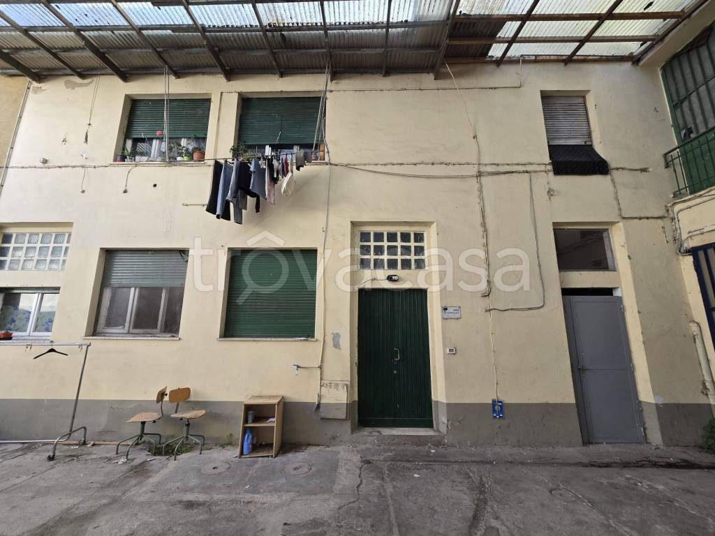 immagine annuncio 5 di 12