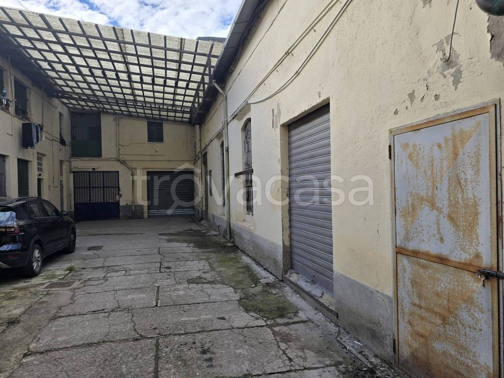 immagine annuncio 7 di 12