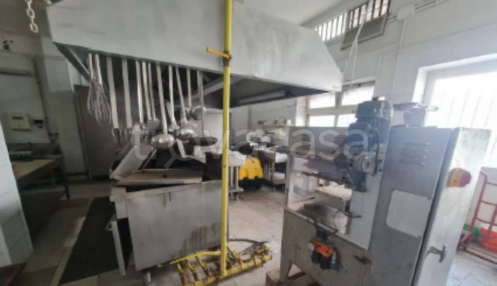 immagine annuncio 5 di 14