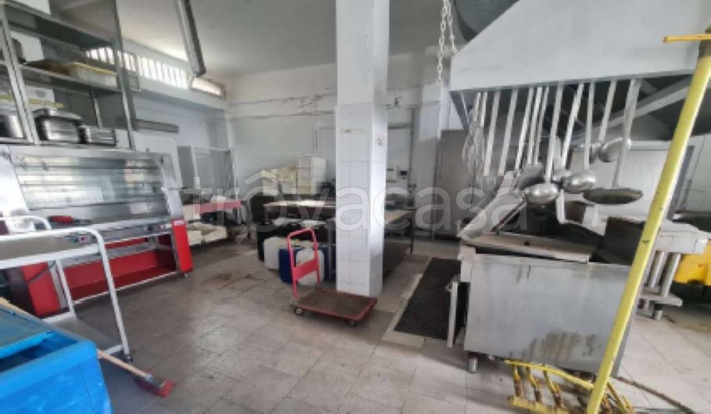 immagine annuncio 7 di 14