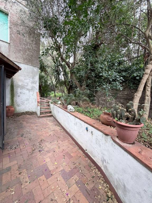 immagine annuncio 4 di 9