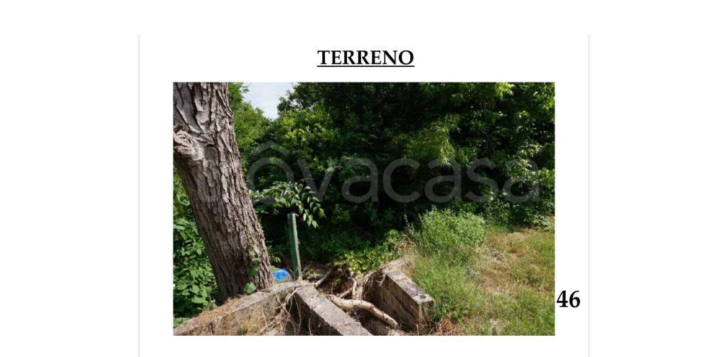 immagine annuncio 7 di 9