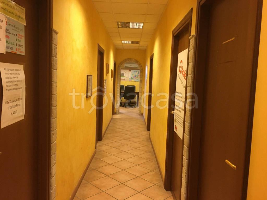 immagine annuncio 4 di 7