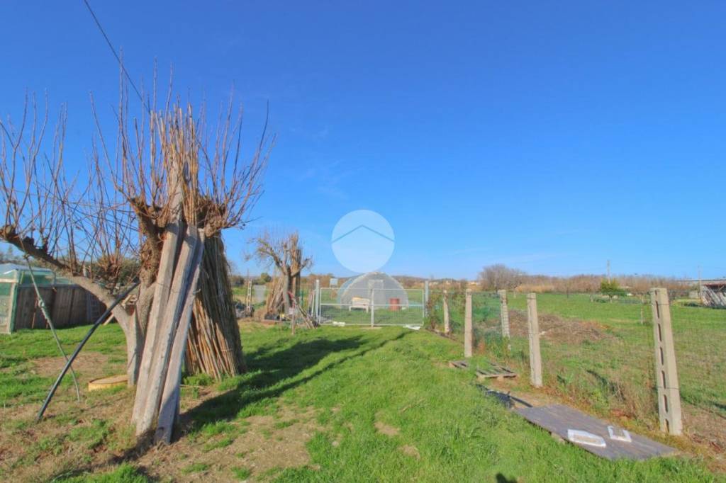 immagine annuncio 11 di 13